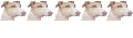 Curieux Curieux